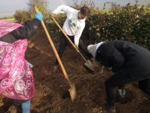 The Afforestation Project